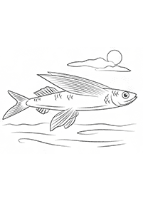 물고기컬러링도안–컬러링(색칠)페이지33