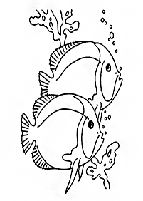 물고기컬러링도안–컬러링(색칠)페이지6