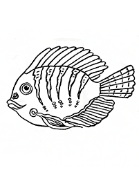 물고기컬러링도안–컬러링(색칠)페이지77
