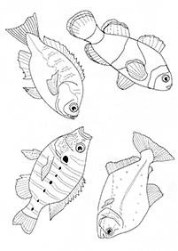 물고기컬러링도안–컬러링(색칠)페이지99
