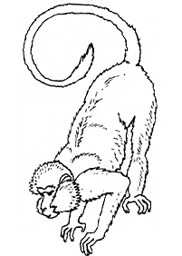 원숭이컬러링도안–컬러링(색칠)페이지34