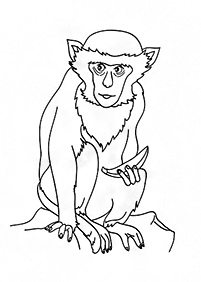 원숭이컬러링도안–컬러링(색칠)페이지83