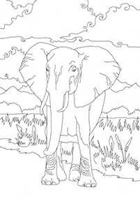 코끼리컬러링도안–컬러링(색칠)페이지25