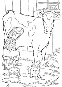 Kolorowanki z krowami – strona 25