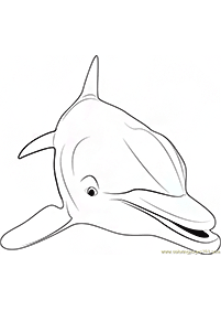 Malowanki z delfinami – strona 66