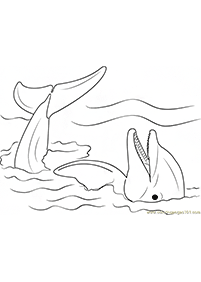 Malowanki z delfinami – strona 88
