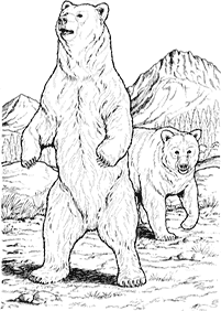 Kolorowanki z niedźwiedziami – strona 41