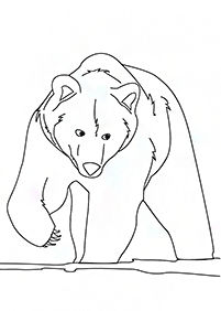 Kolorowanki z niedźwiedziami – strona 46