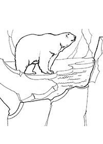 Kolorowanki z niedźwiedziami – strona 50