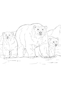 Kolorowanki z niedźwiedziami – strona 57