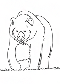 Kolorowanki z niedźwiedziami – strona 74