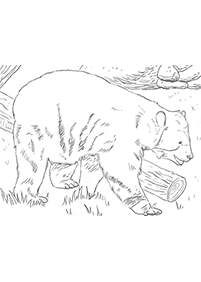 Kolorowanki z niedźwiedziami – strona 77