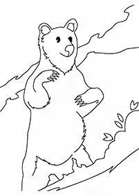 Kolorowanki z niedźwiedziami – strona 96