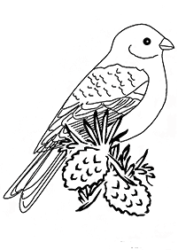Ptasie kolorowanki – strona 113