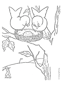 Ptasie kolorowanki – strona 8