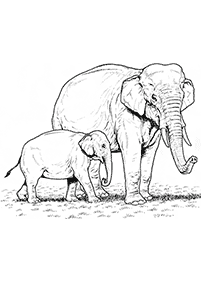 Kolorowanki ze słoniami – strona 1