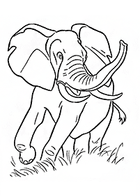 Kolorowanki ze słoniami – strona 19