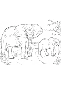 Kolorowanki ze słoniami – strona 29