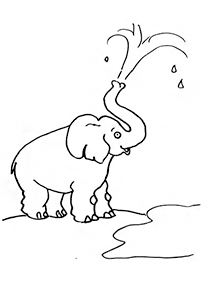 Kolorowanki ze słoniami – strona 37