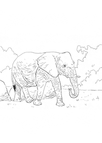Kolorowanki ze słoniami – strona 45