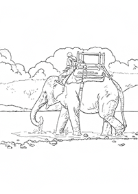 Kolorowanki ze słoniami – strona 5