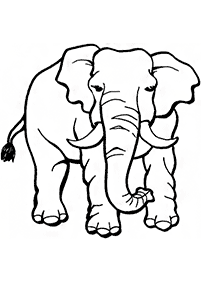 Kolorowanki ze słoniami – strona 53