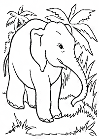 Kolorowanki ze słoniami – strona 59