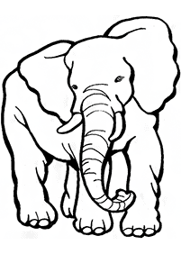 Kolorowanki ze słoniami – strona 61