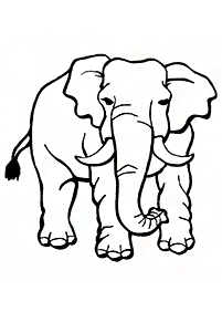 Kolorowanki ze słoniami – strona 87
