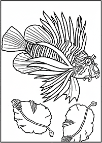 Desenhos para colorir para adultos - Páginas de colorir 109