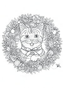 Desenhos para colorir para adultos - Páginas de colorir 207