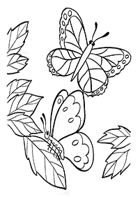 Páginas para colorir com desenhos de borboletas – Página de colorir 26