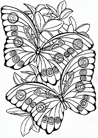 desenho de mandala de página para colorir borboleta. design de impressão.  projeto de camiseta. 13345543 Vetor no Vecteezy