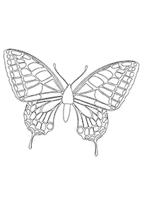 Páginas para colorir com desenhos de borboletas – Página de colorir 42