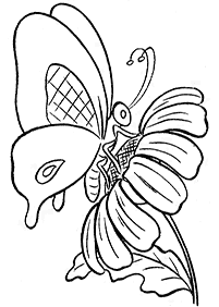Páginas para colorir com desenhos de borboletas – Página de colorir 6