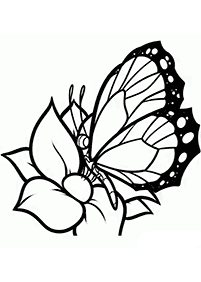 Páginas para colorir com desenhos de borboletas – Página de colorir 8