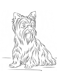 Imagens de cachorros para colorir – Página de colorir 17