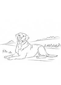 Imagens de cachorros para colorir – Página de colorir 25