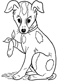 Imagens de cachorros para colorir – Página de colorir 8