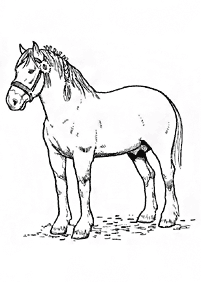 Desenhos de cavalos para colorir – Página de colorir 20