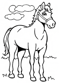 Desenhos de cavalos para colorir – Página de colorir 6