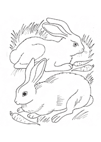 Desenhos de coelhos para colorir – Página de colorir 25