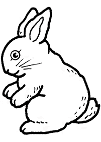 Desenhos de coelhos para colorir – Página de colorir 61