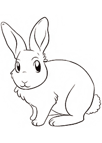 Desenhos de coelhos para colorir – Página de colorir 66
