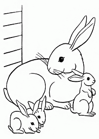 Desenhos de coelhos para colorir – Página de colorir 71