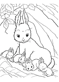 Desenhos de coelhos para colorir – Página de colorir 73