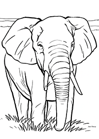 Desenhos de elefantes para colorir – Página de colorir 100