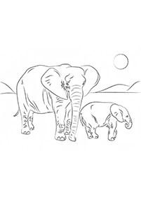 Desenhos de elefantes para colorir – Página de colorir 13