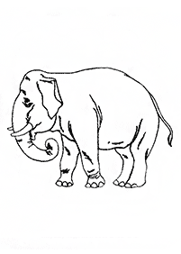 Desenhos de elefantes para colorir – Página de colorir 23