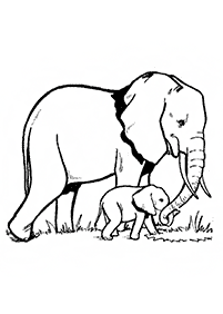 Desenhos de elefantes para colorir – Página de colorir 3